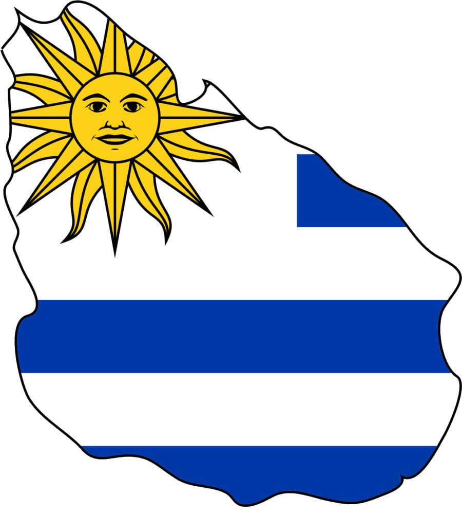 Desarrollo de websites en Uruguay